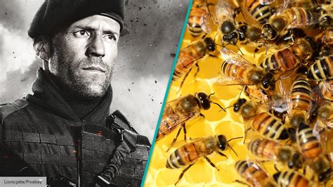 beekeeper mongol heleer
